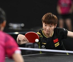 华体会官网-国乒为何多名主力无缘WTT球星挑战赛果阿站单打？